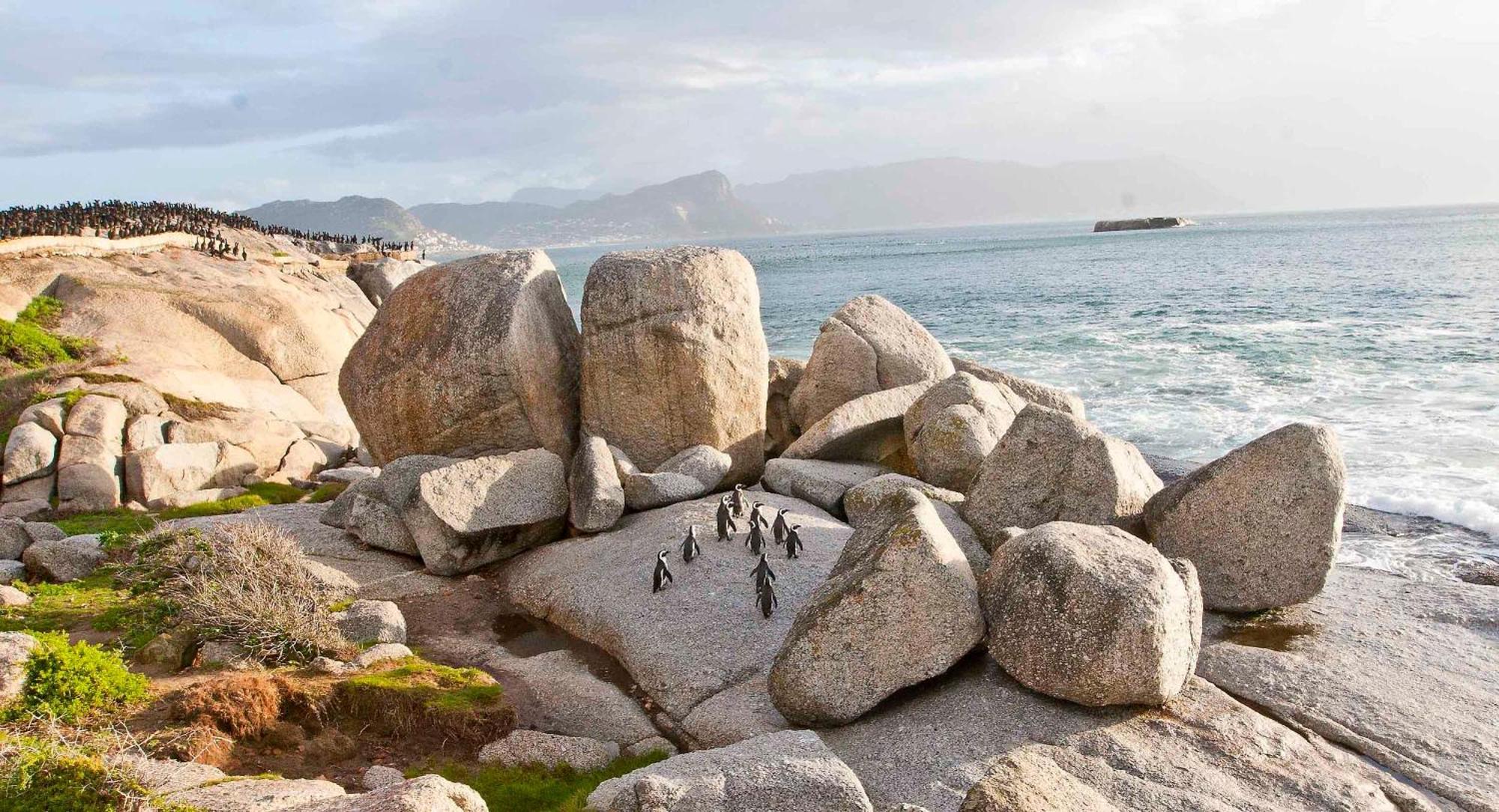 Avian Leisure Apartman Simonʼs Town Kültér fotó