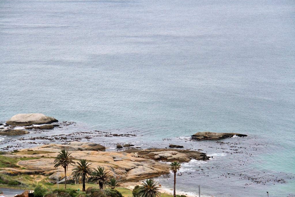 Avian Leisure Apartman Simonʼs Town Kültér fotó